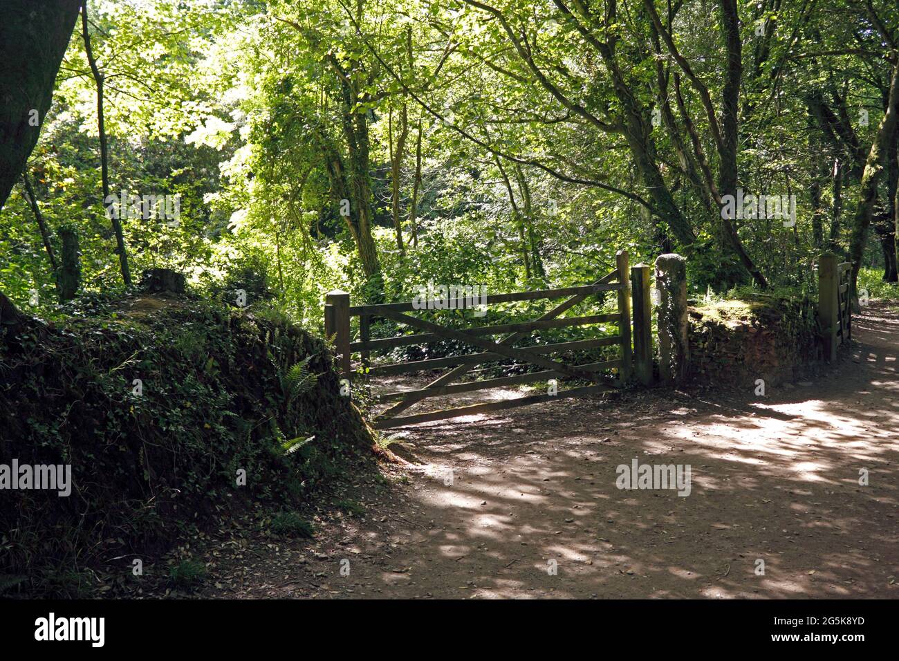PICTURESQUE COUNTRY LANE. CORNWALL UK Stock Photo