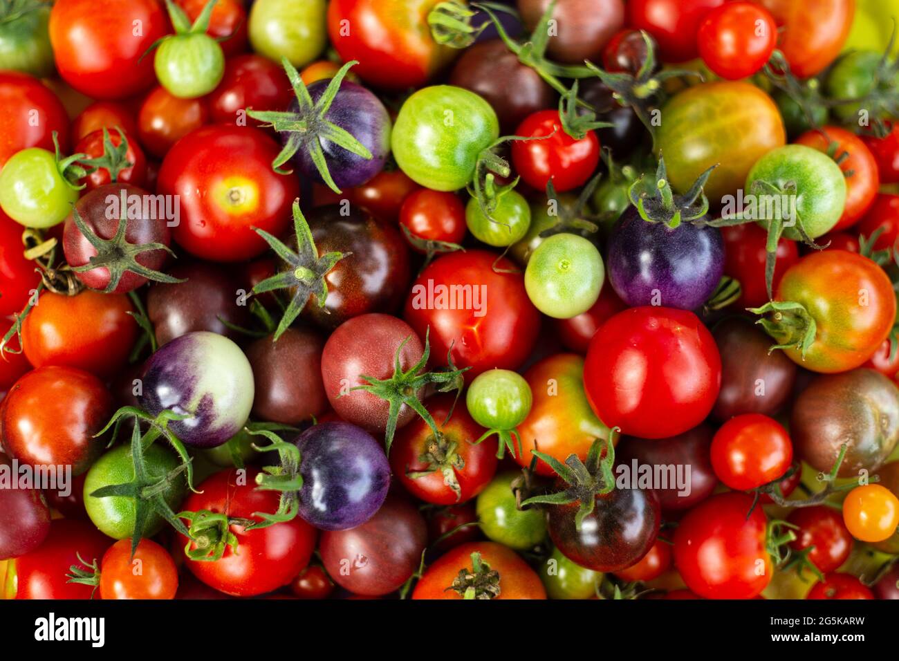 Cherry tomatoes top view hi-res stock photography and images - Alamy