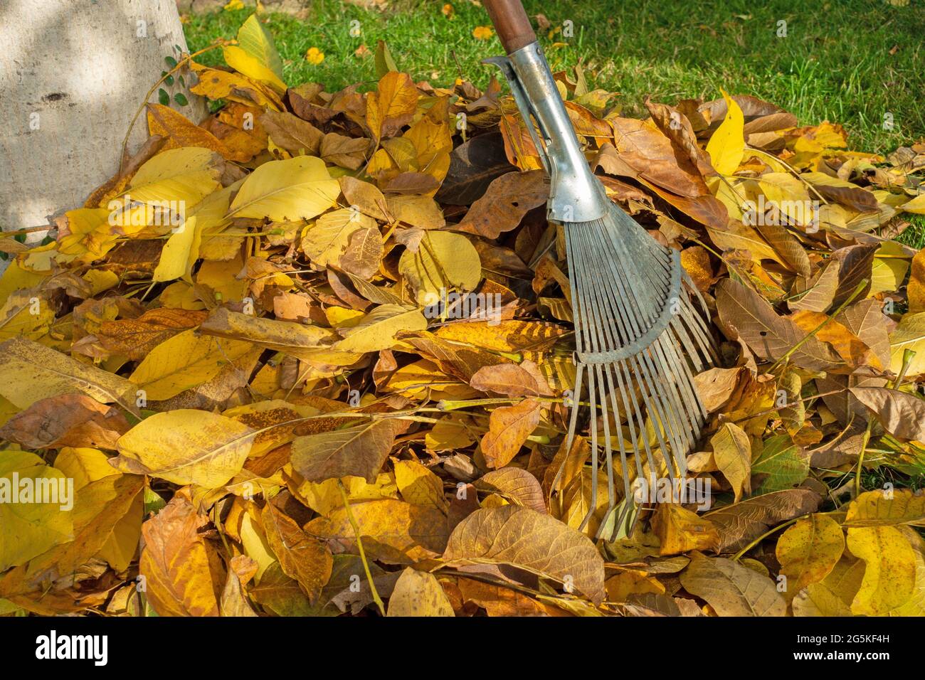Leaf rake hi-res stock photography and images - Alamy