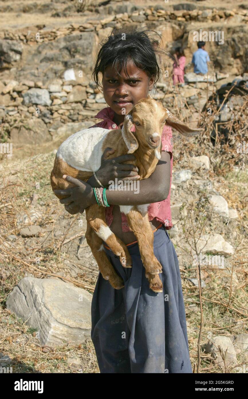 Young girl carrying a baby goat, in Deogarh, India Stock Photo