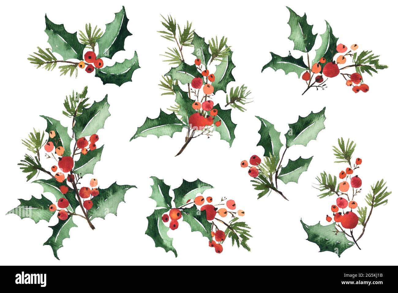 Christmas watercolor set of bouquet arrangings. Holly berries, green leaves and spruce Stock Photo