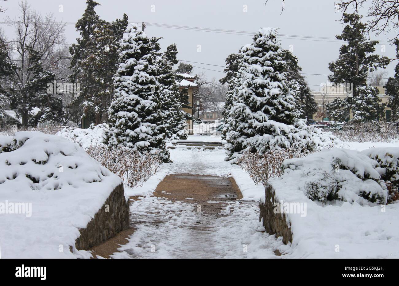 Steep icy driveway and snow covered evergreen trees in urban