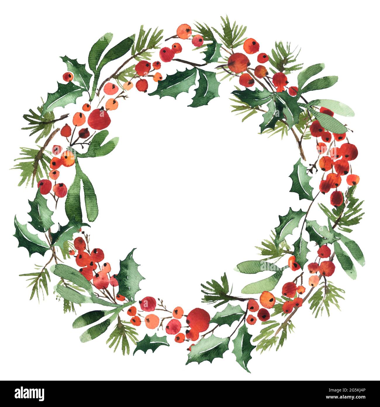 Watercolor wreath of spruce with holly berries and mistletoe for