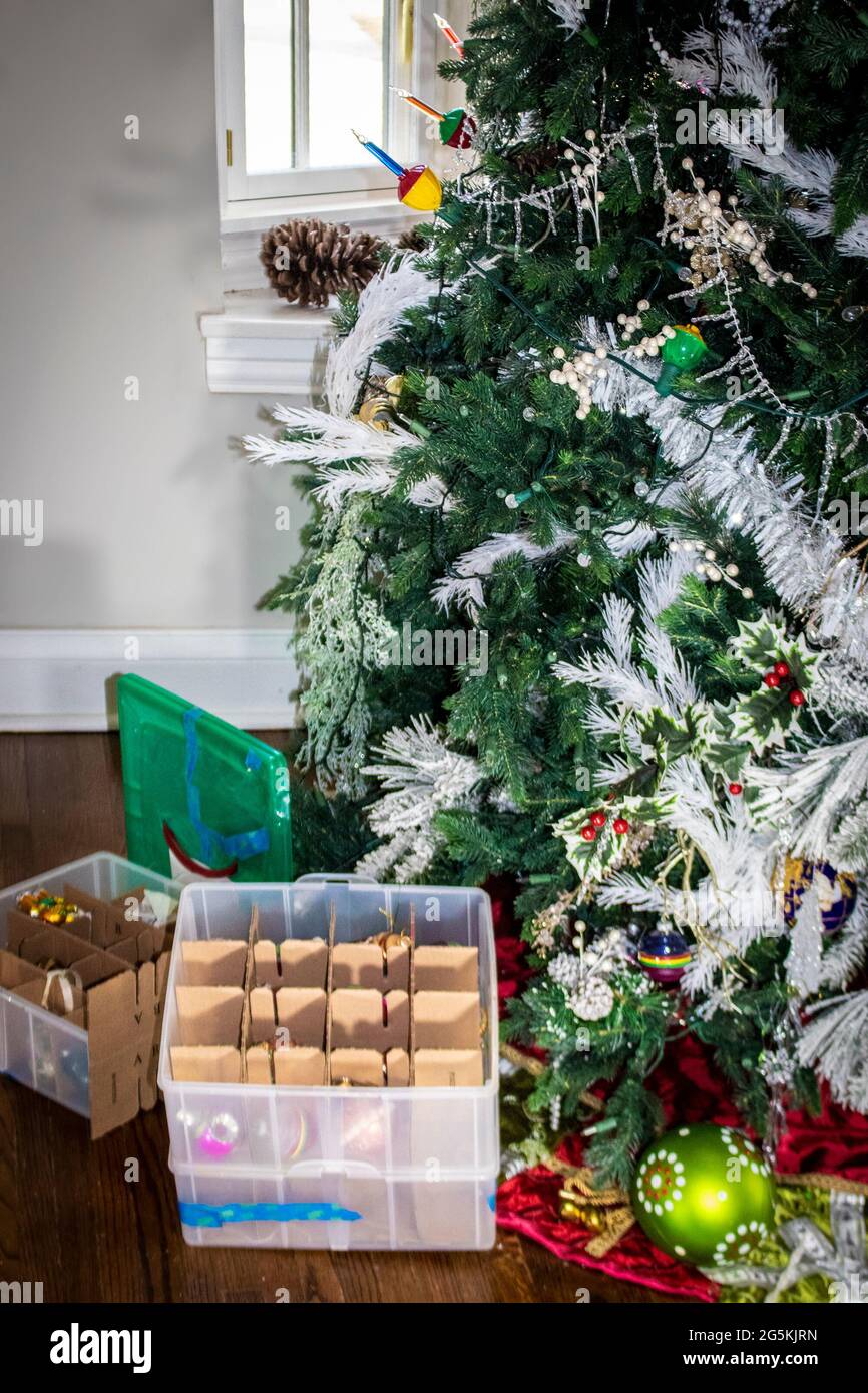 Taking down the Christmas tree - artificial evergreen on wooden floor with ornament box and big mess. Stock Photo