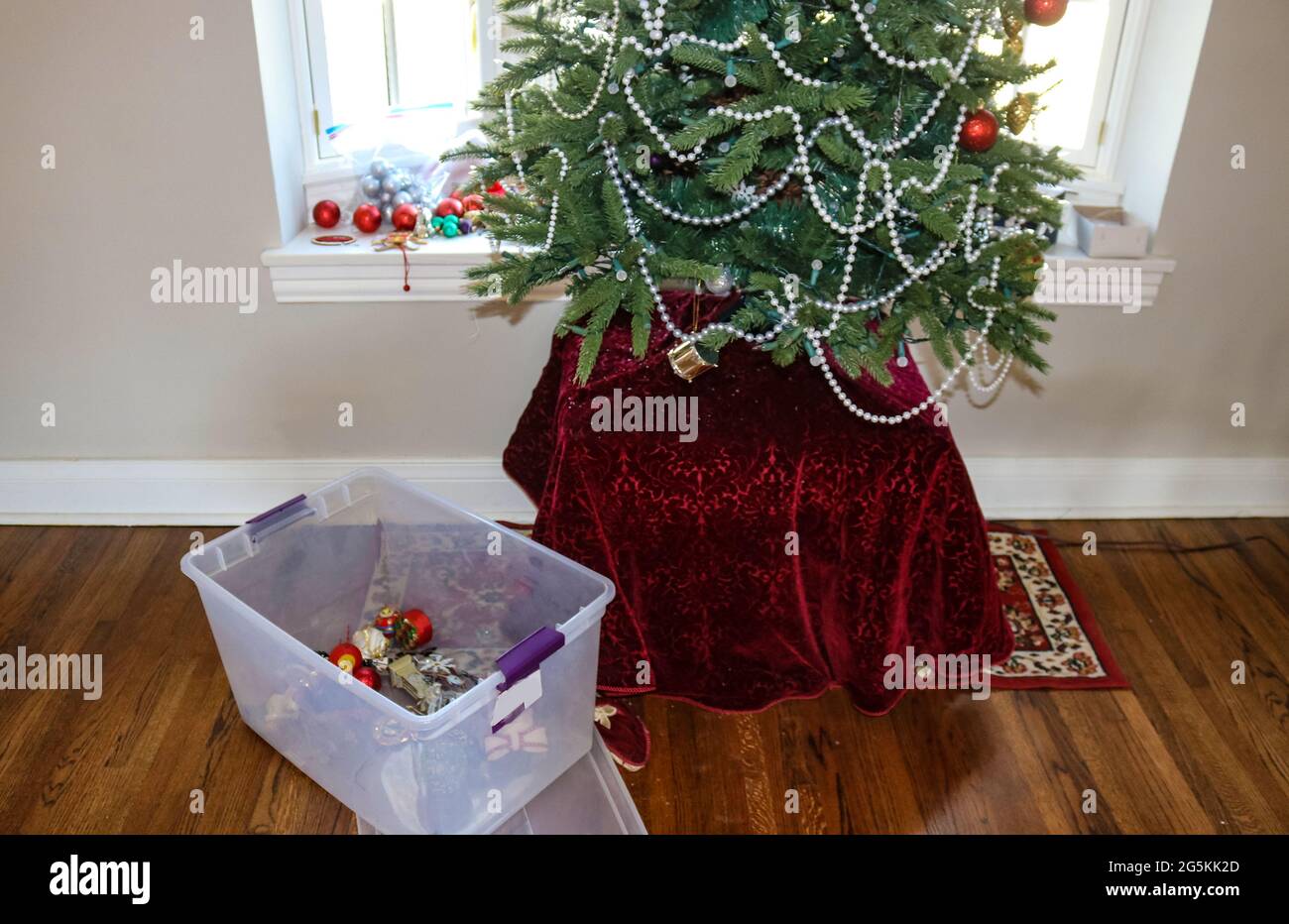 Taking down the Christmas tree....Most ornaments gone with plastic container holding some on floor by tree Stock Photo
