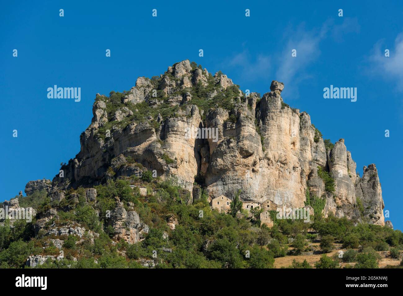 Rocks at the Tarn Gorge near Le Rozier, Gorges du Tarn, Parc National des Cévennes, Cévennes National Park, Lozère, Languedoc-Roussillon, Occitanie, F Stock Photo