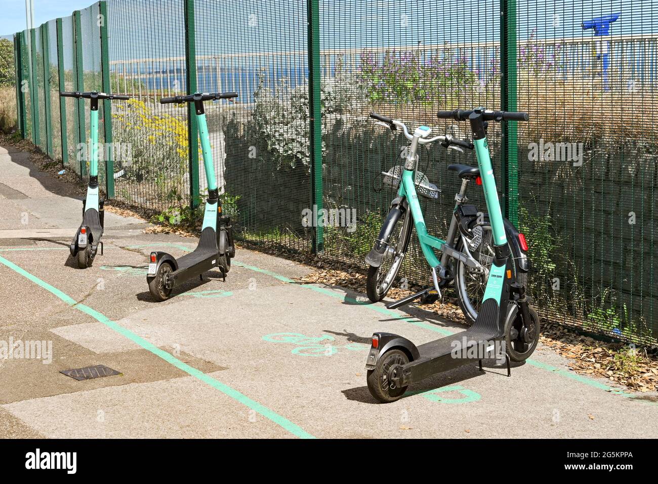 Electric beryl scooter hires stock photography and images Alamy