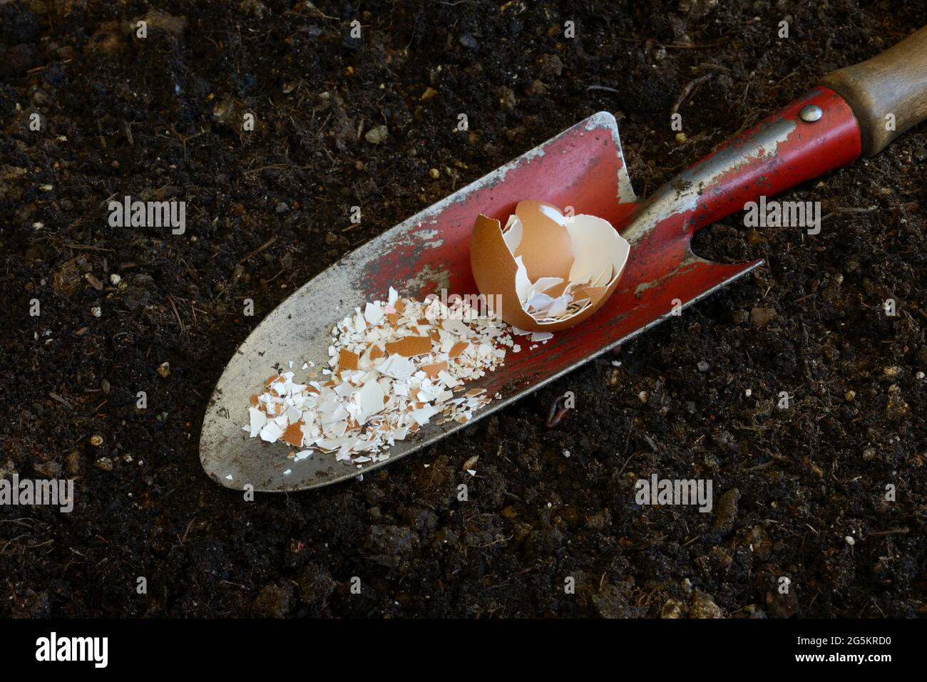Crushed eggshells on garden shovel Stock Photo Alamy