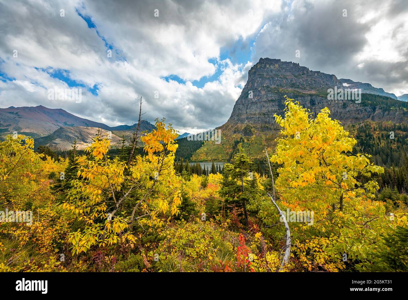View of Sinopah Mountain with bushes in fall colors, hiking to Upper Two Medicine Lake, Glacier