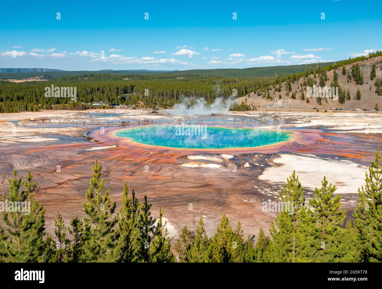 Steaming hot spring with colored mineral deposits and turquoise water, Grand Prismatic Spring, Midway Geyser Basin, Yellowstone National Park, Wyoming Stock Photo