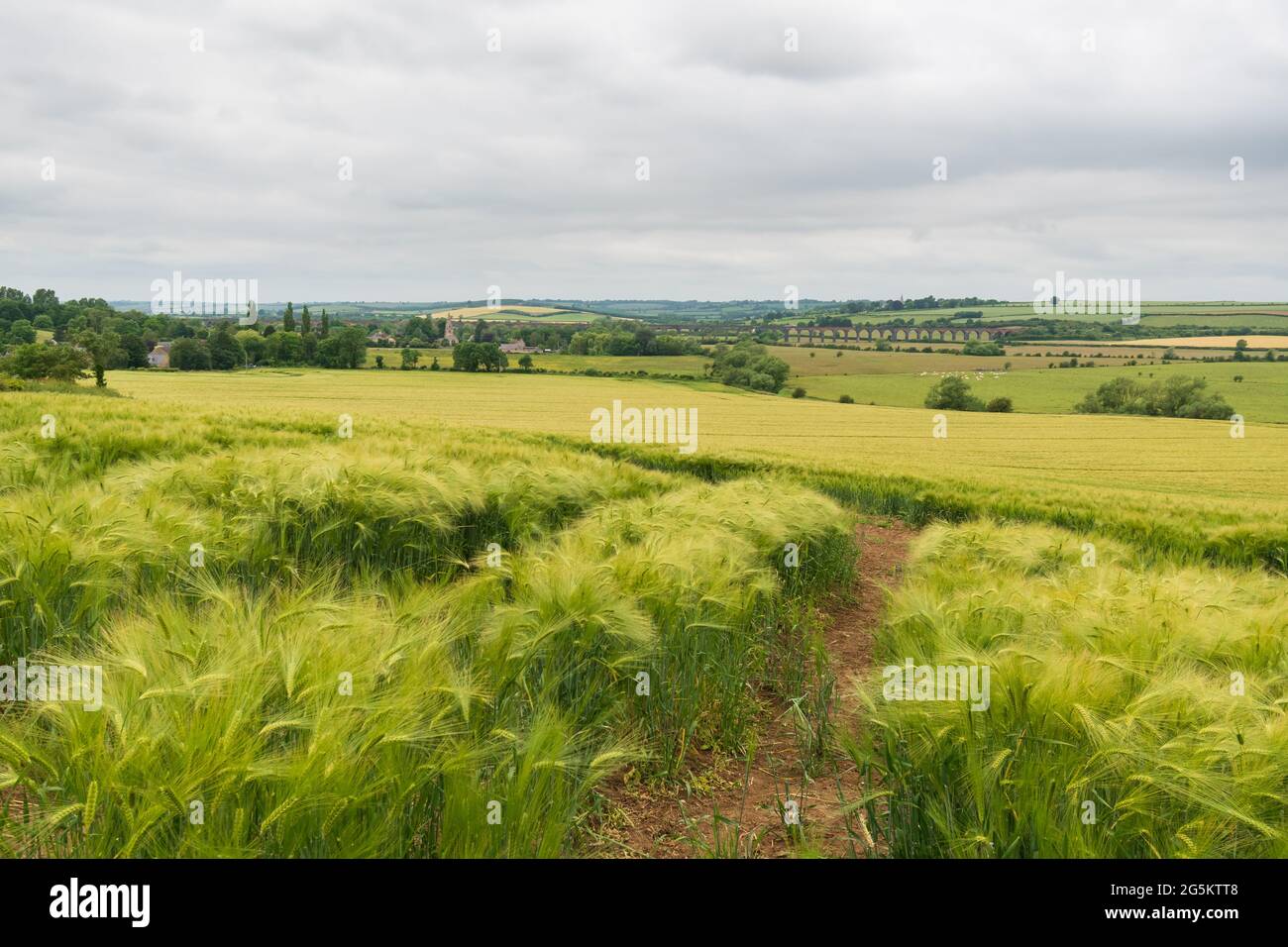 Welland valley and viaduct across farmland Stock Photo