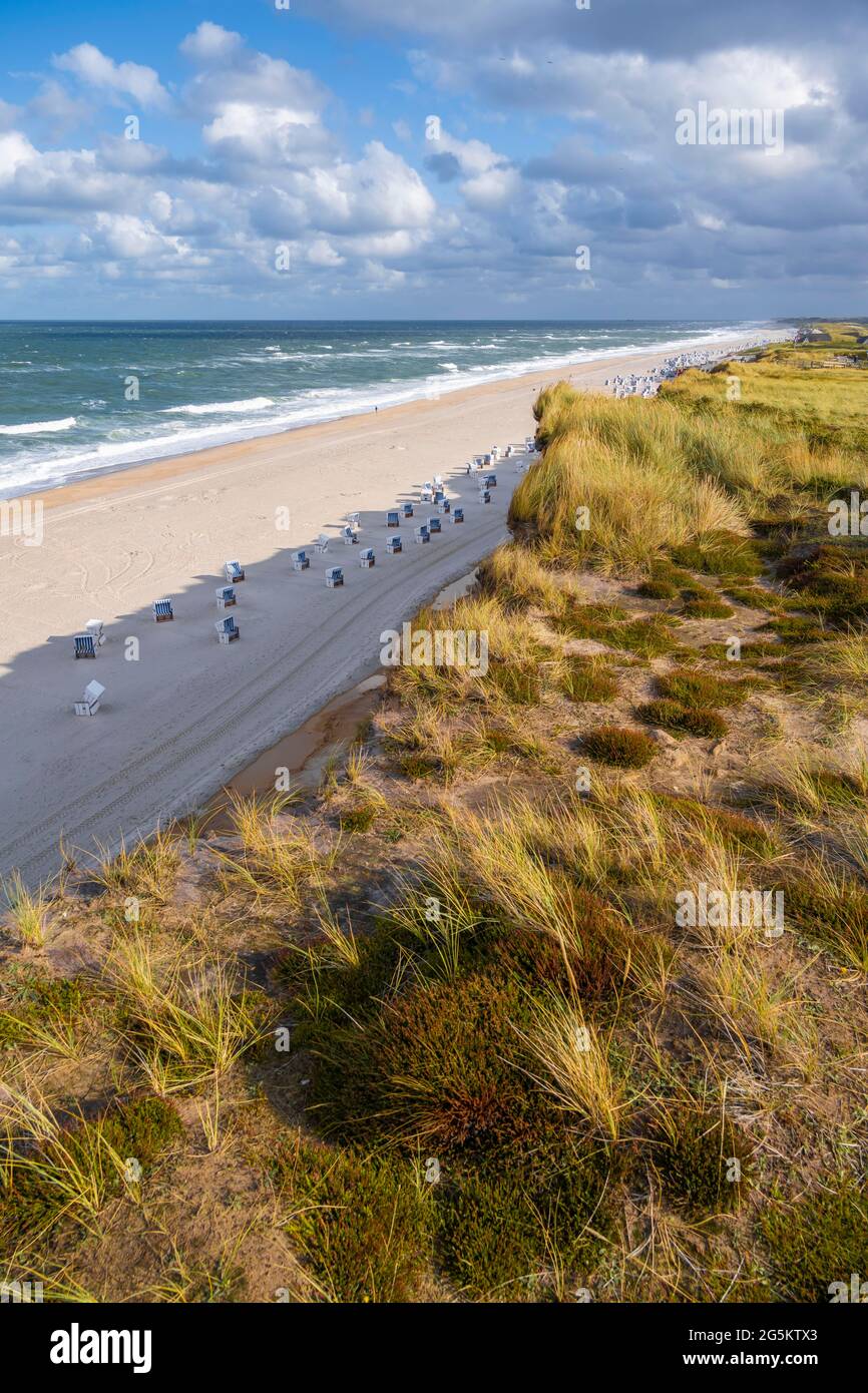 Beach chairs, Red Cliff, Riperstieg, Kampen, Sylt, North Frisian Island, North Sea, North Frisia, Schleswig-Holstein, Germany, Europe Stock Photo