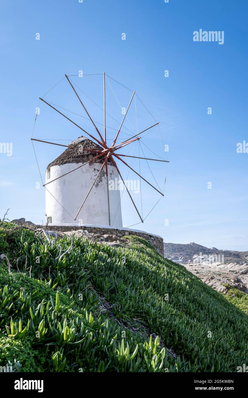 White Windmill, Mykonos, Cyclades, Aegean Sea, Greece, Europe Stock Photo