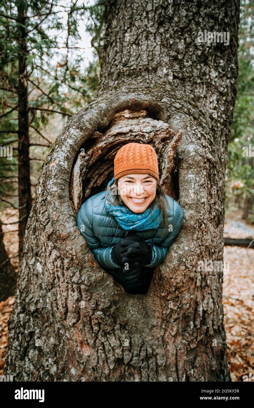 Tree knot hi-res stock photography and images - Alamy