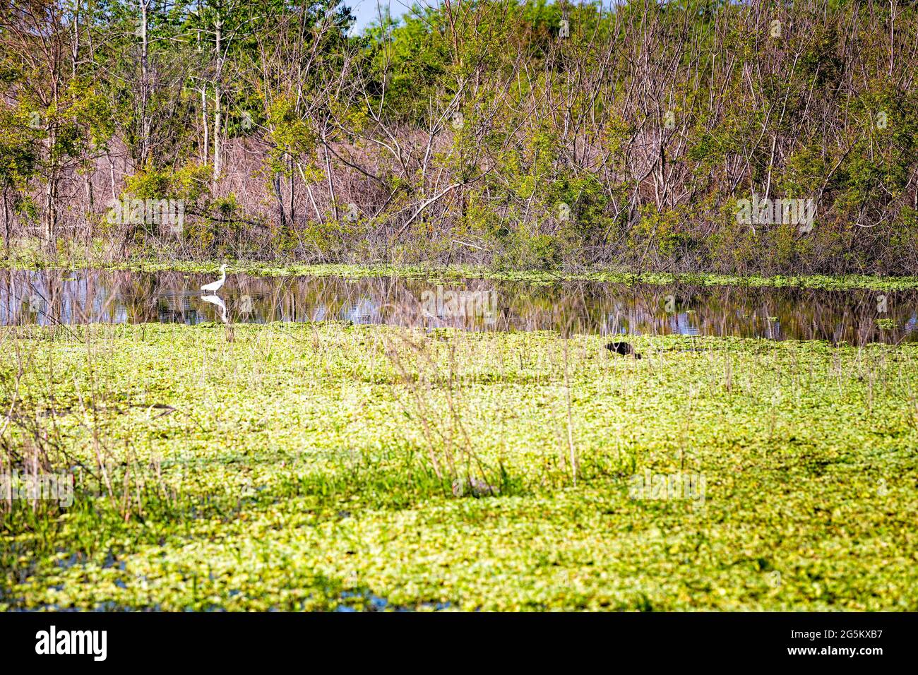 La Chua Trail High Resolution Stock Photography and Images Alamy