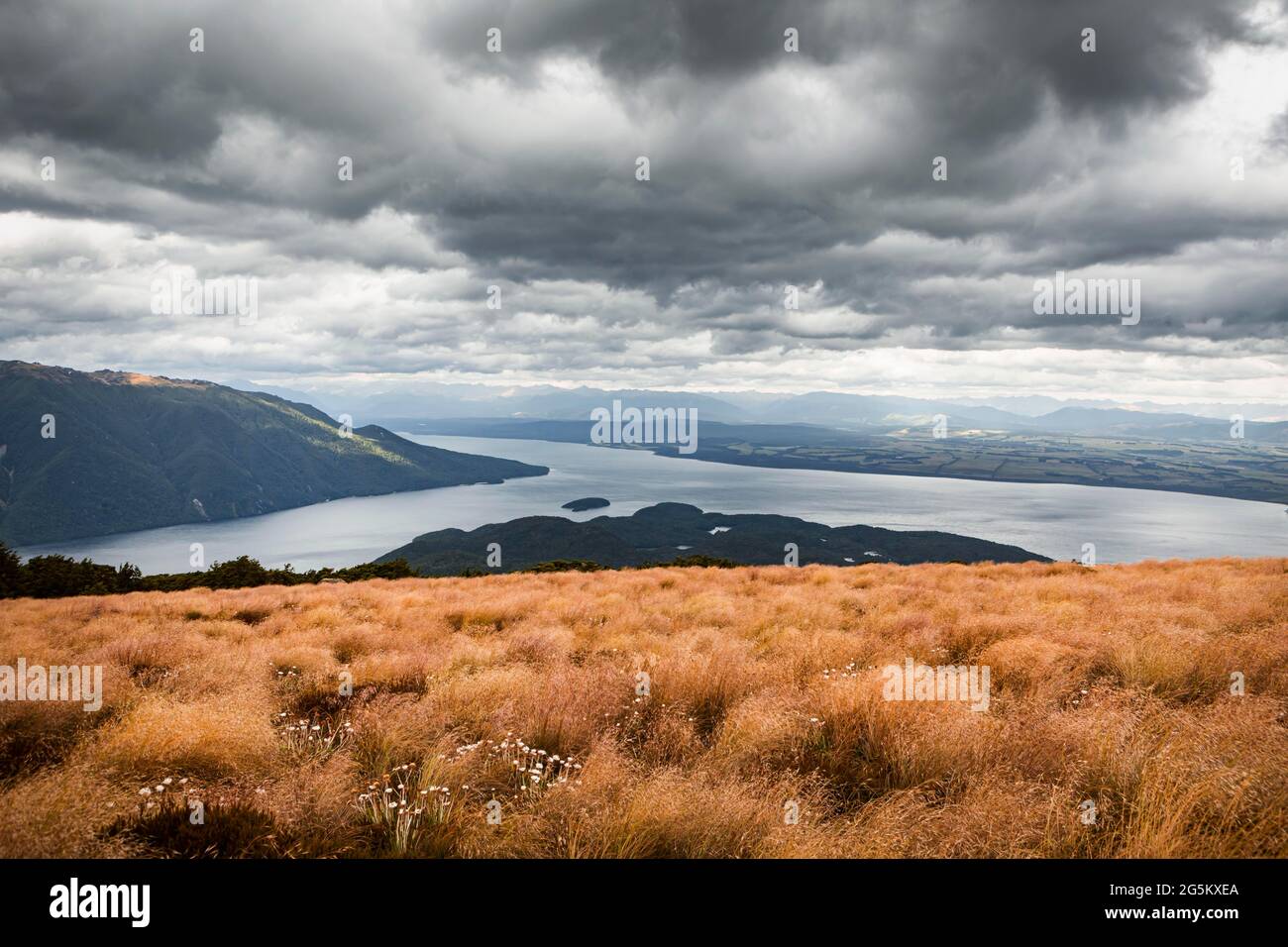 Landscape, Lake Te Anau, South West New Zealand World Heritage Area, Te W?hipounamu, Fiordland National Park, South Island, New Zealand, Oceania Stock Photo