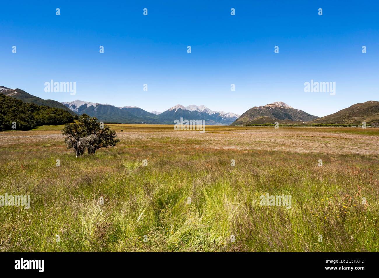 Selwyn canterbury new zealand hires stock photography and images Alamy