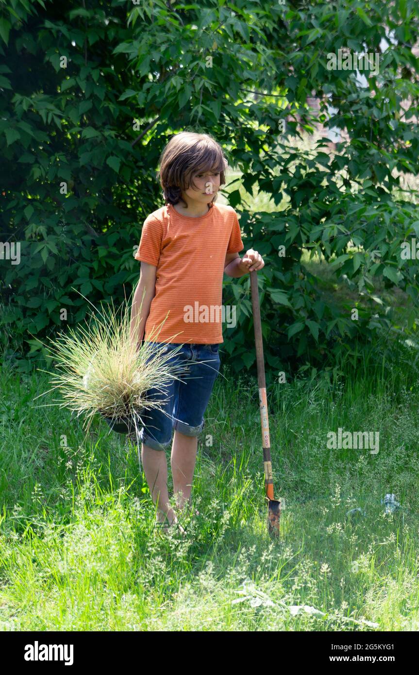 little boy with a plant in pot and a shovel in garden Stock Photo - Alamy