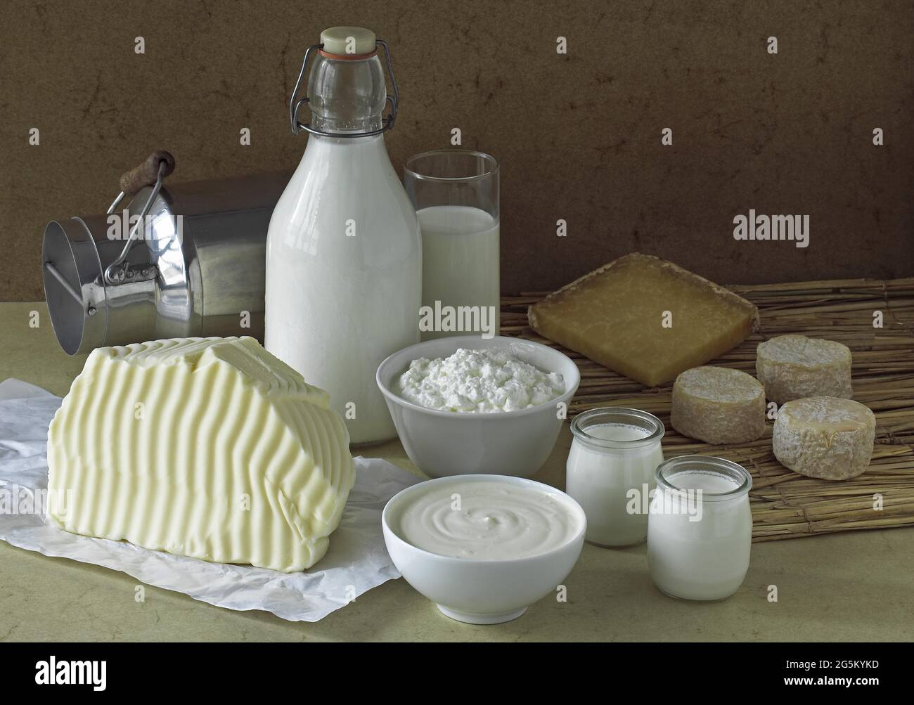 Dairy products, milk, double cream, soft cheese, yoghurt, butter, cantal and goat cheese Stock