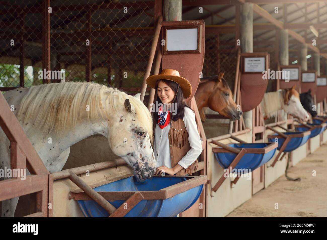 Working stables hi-res stock photography and images - Alamy