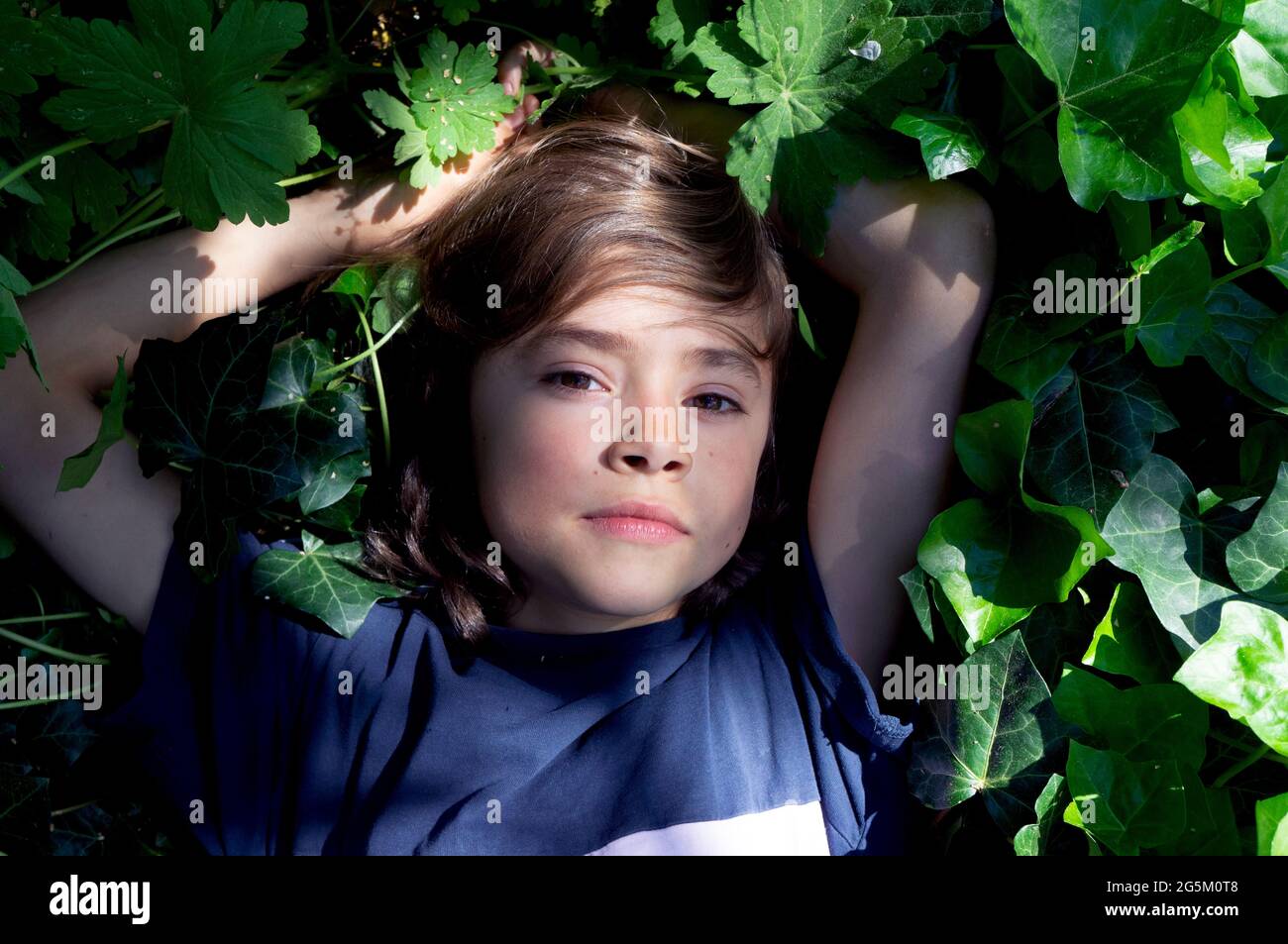 boy lying in green bushes Stock Photo