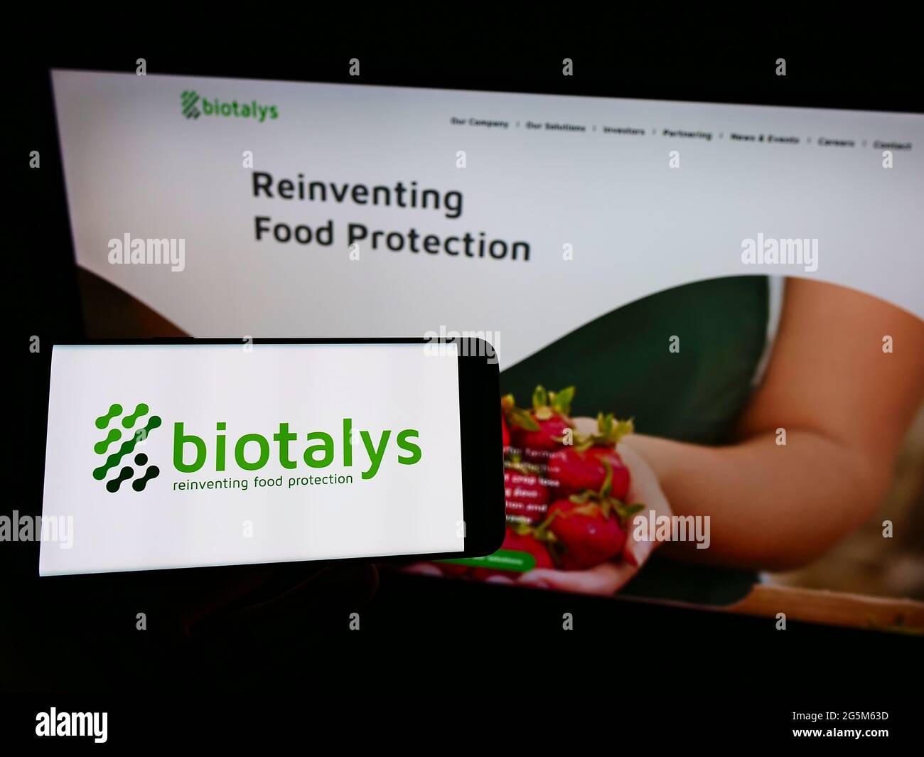 Person holding smartphone with logo of Belgian biotechnology company Biotalys NV on screen in front of website. Focus on phone display. Stock Photo