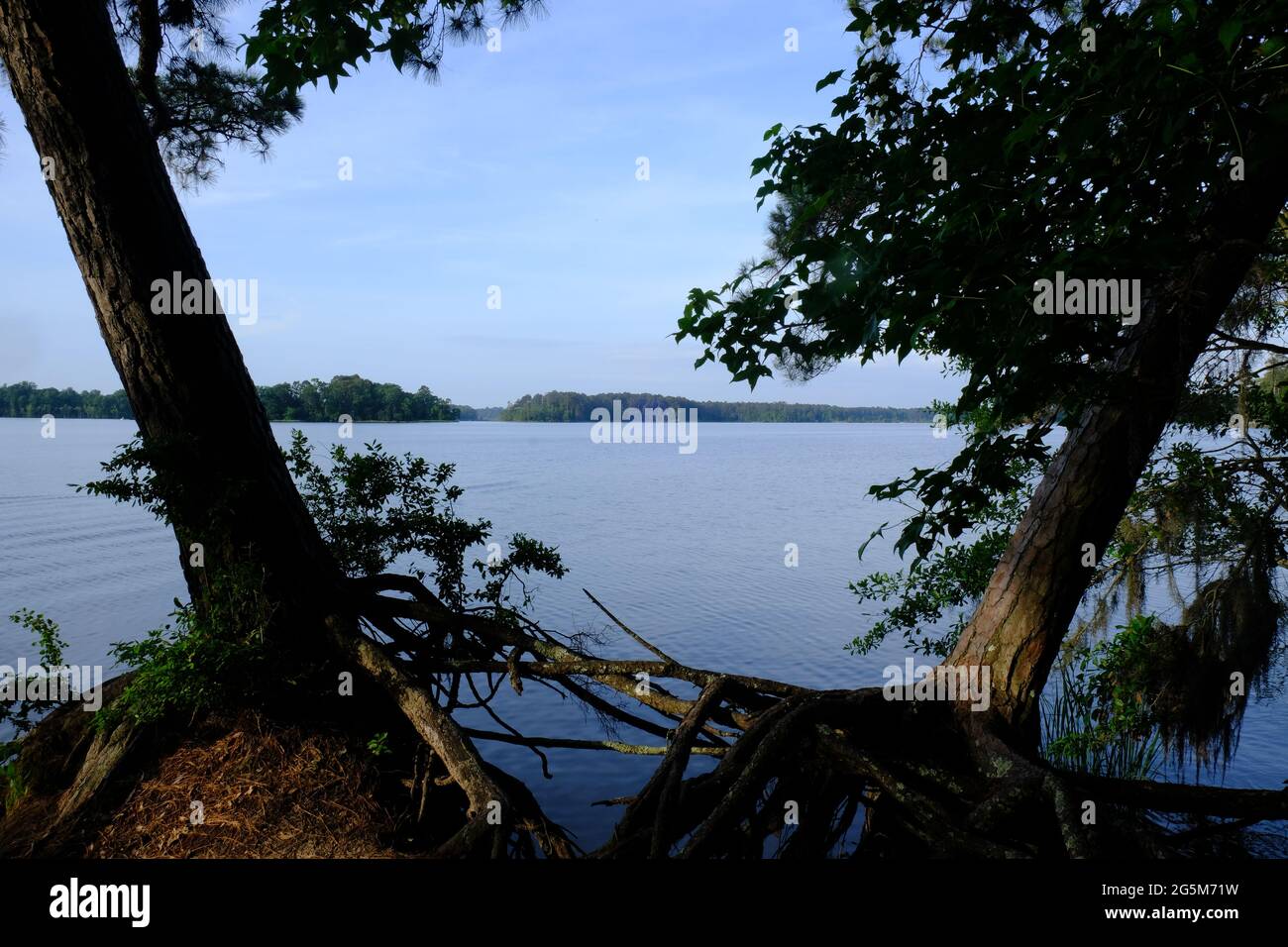 Indian Creek Recreation Area Louisiana Stock Photo Alamy