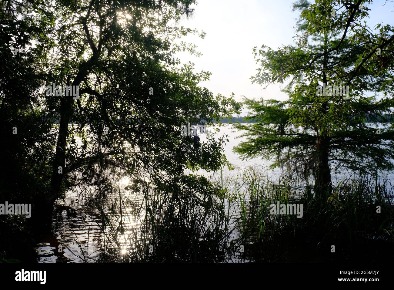 Indian creek hires stock photography and images Alamy