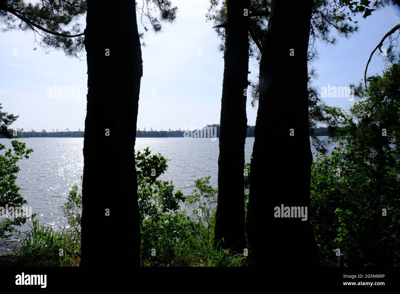 Indian Creek Recreation Area Louisiana Stock Photo Alamy