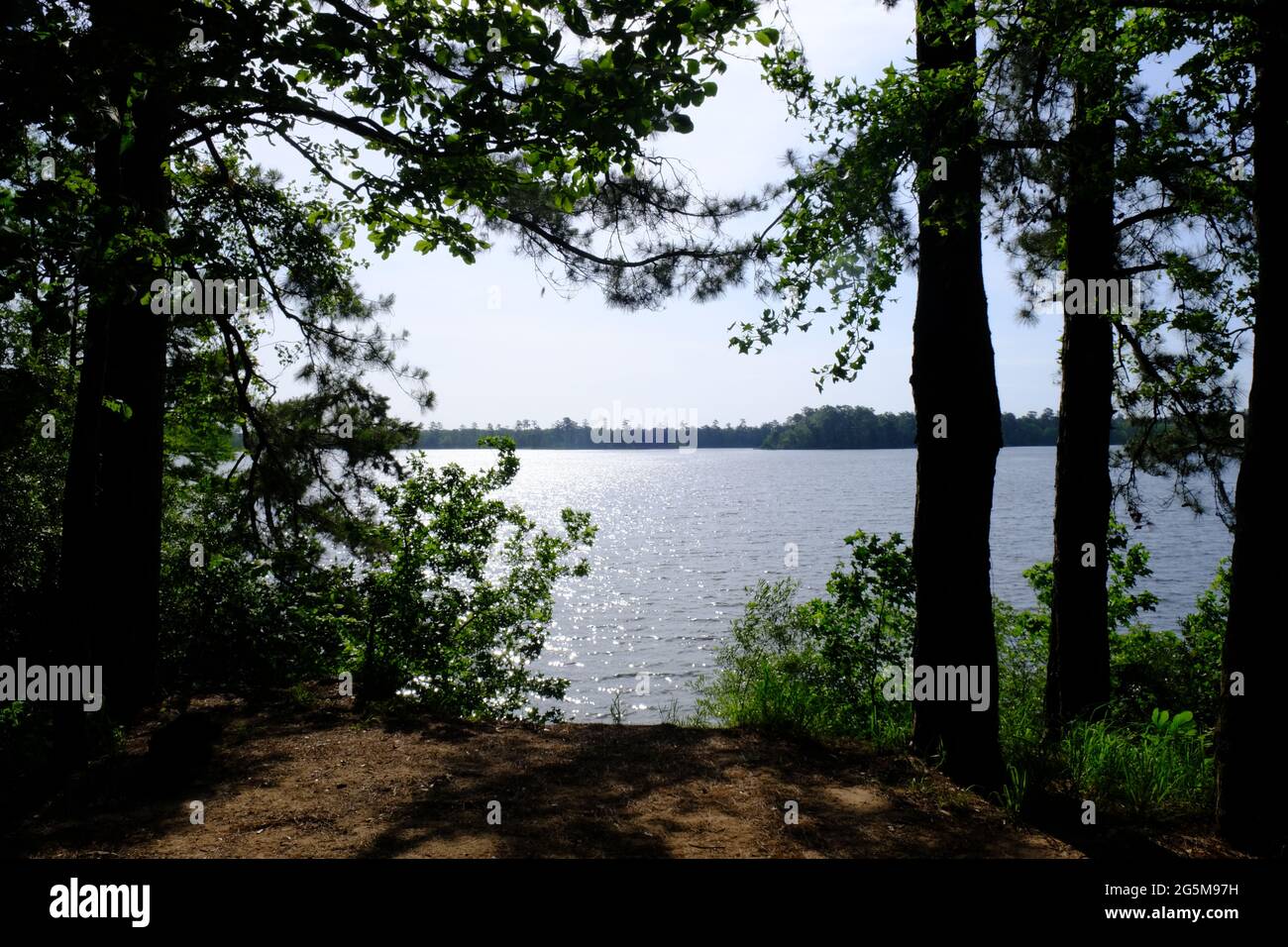 Indian Creek Recreation Area Louisiana Stock Photo Alamy