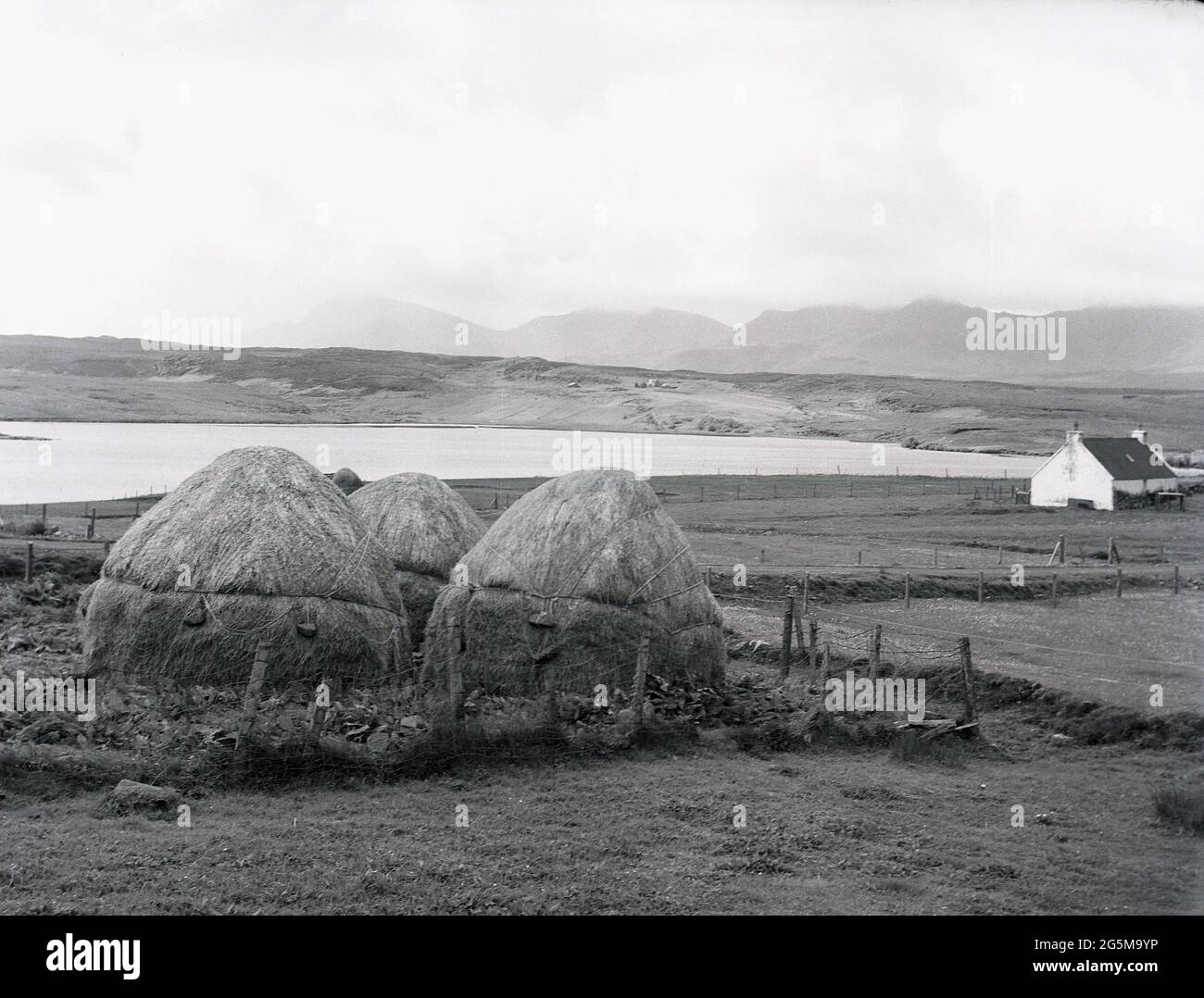 1956, historical, Isle of Lewis, Scottish Highlands, Scotland, mesh covered hay bales and a crofter's farm cottage  on the barren landscape. Stock Photo