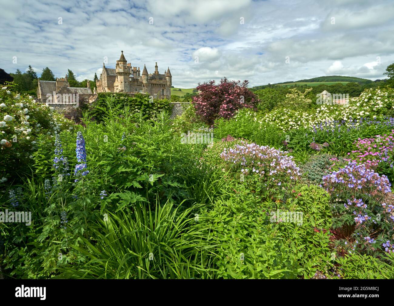 Beautiful flower beds in the walled garden of Abbotsford House in the Scottish Borders on a sunny summers day. Stock Photo