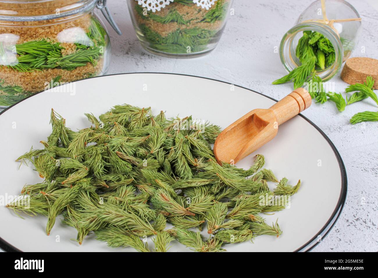 Young shoots of spruce prepare with brown sugar and dried shoots of spruce prepare for tea. Remedy for cough and asthma. Homeopathy and natural folk m Stock Photo
