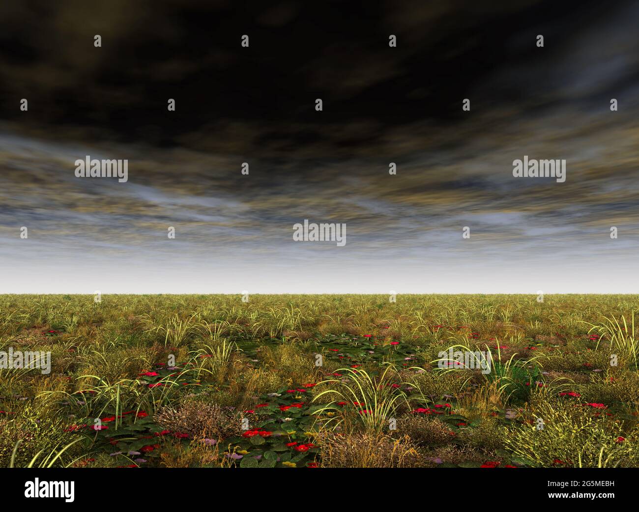 Grasslands Stock Photo