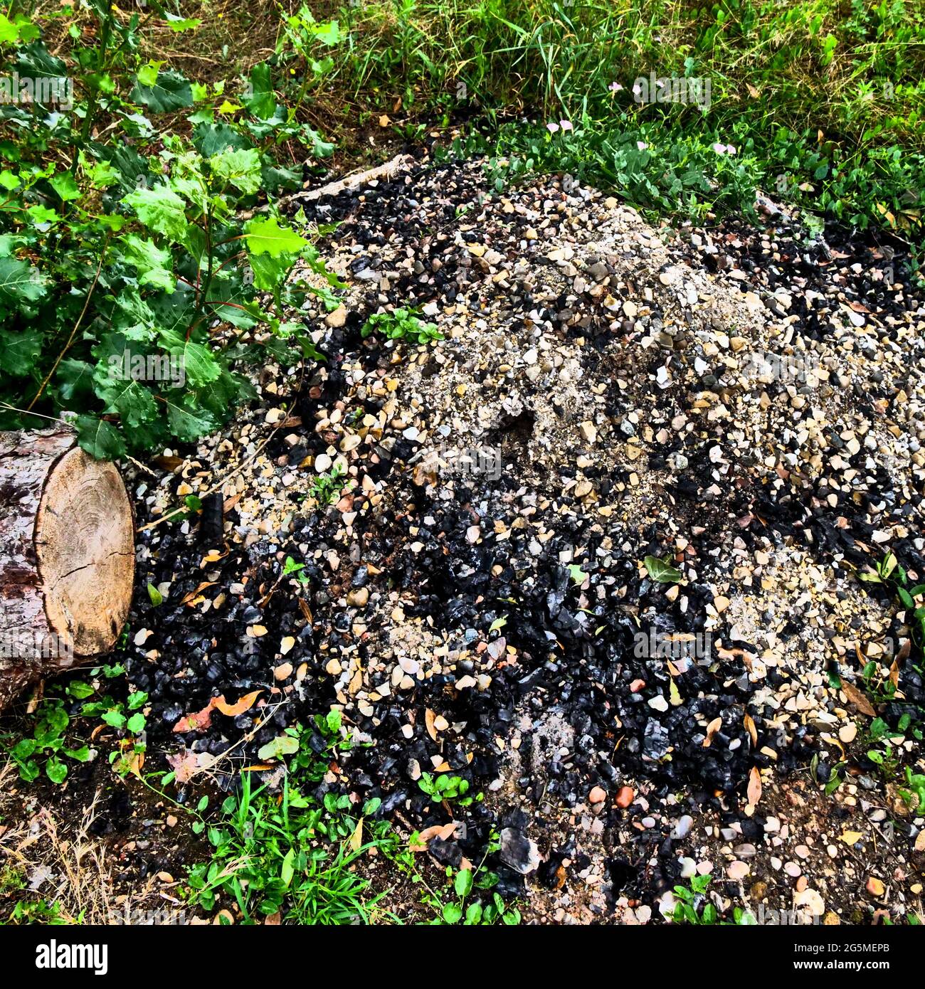 Ash heap, Conceptual photography, France Stock Photo Alamy
