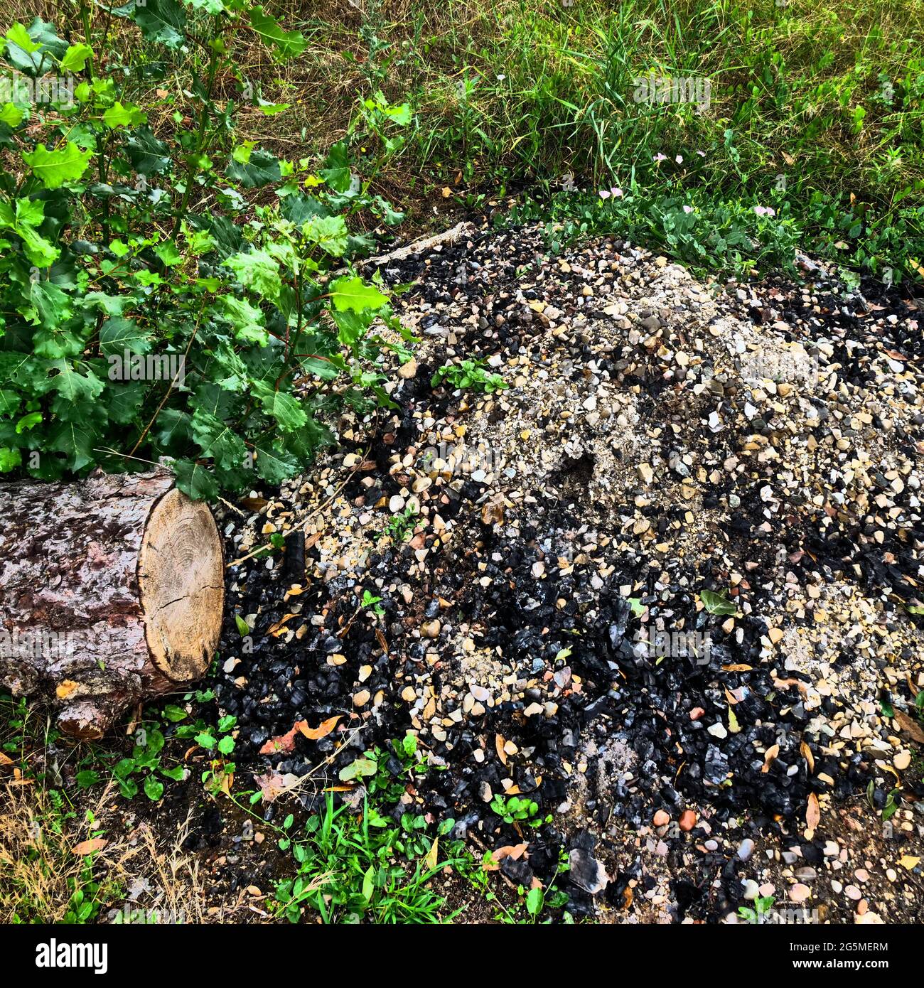 Ash heap, Conceptual photography, France Stock Photo Alamy