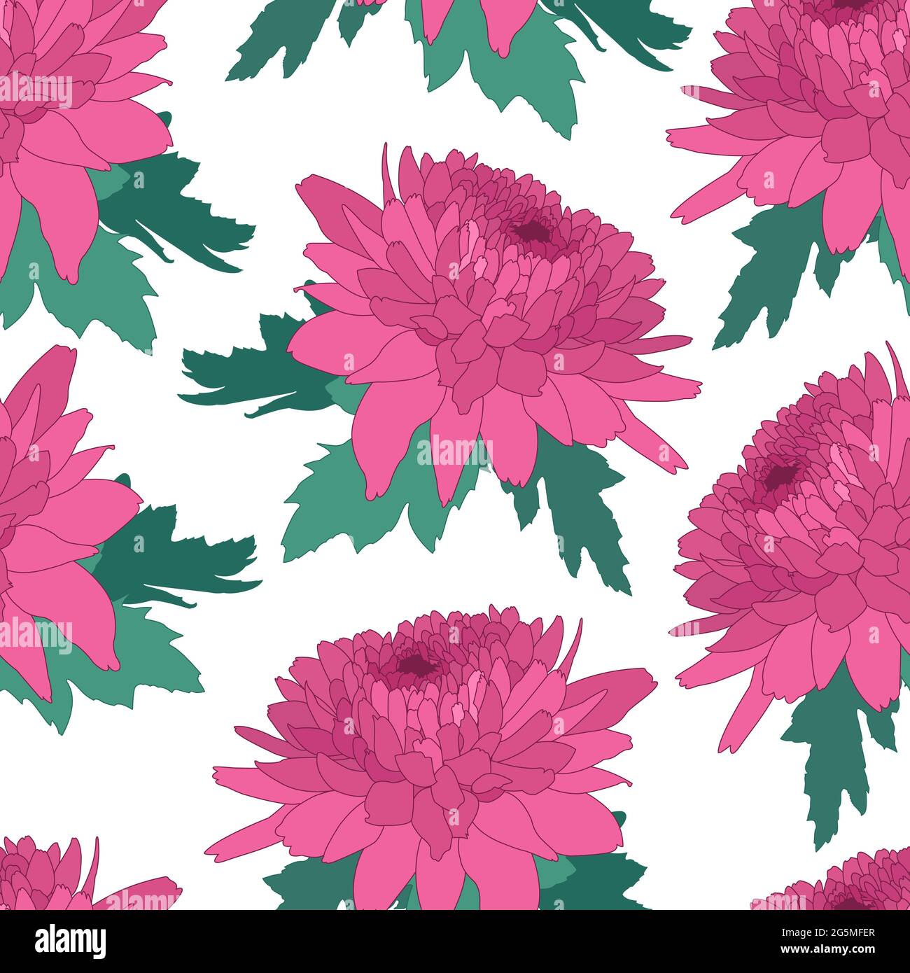 Seamless decorative pattern with pink chrysanthemum. Crown daisy repeated background. Vector Stock Vector