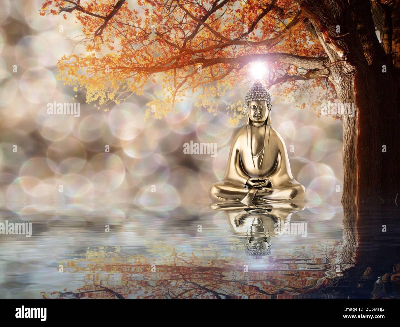 Spiritual background for meditation with buddha statue and tree Stock Photo  - Alamy