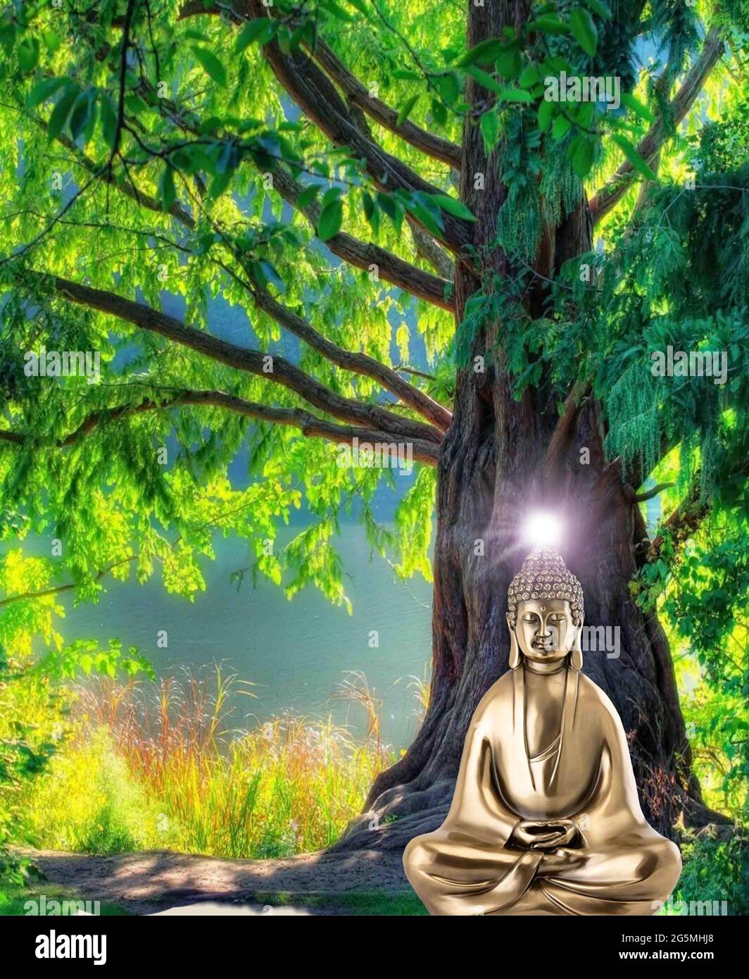 Spiritual background for meditation with buddha statue and tree Stock