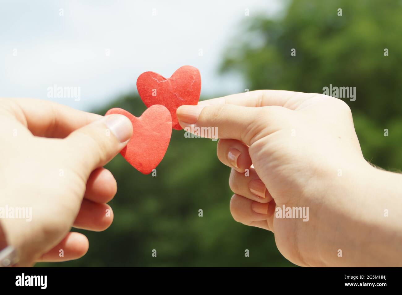 Two hearts, romantic love Stock Photo - Alamy
