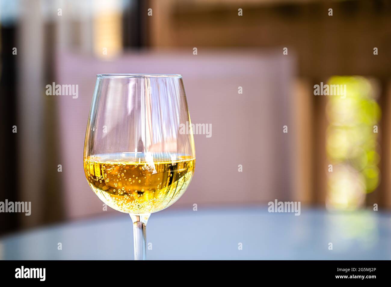 Closeup macro of alcohol hard cider with yellow color drink and carbonated bubbles as sparkling wine in glass from cidery in Virginia Stock Photo