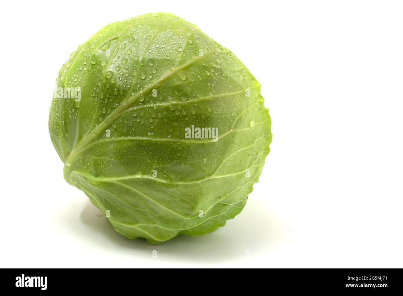 Fresh young cabbage isolated on white background Stock Photo - Alamy