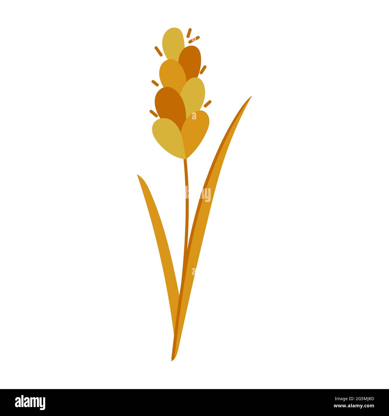 Vector wheat spike, cereals hand drawn flat icon Stock Vector