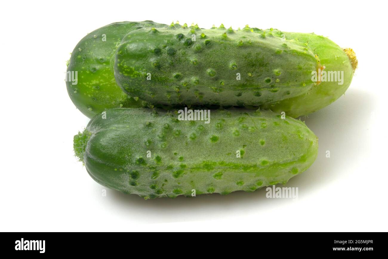 Three green gherkin cucumbers isolated on white background. Stock Photo
