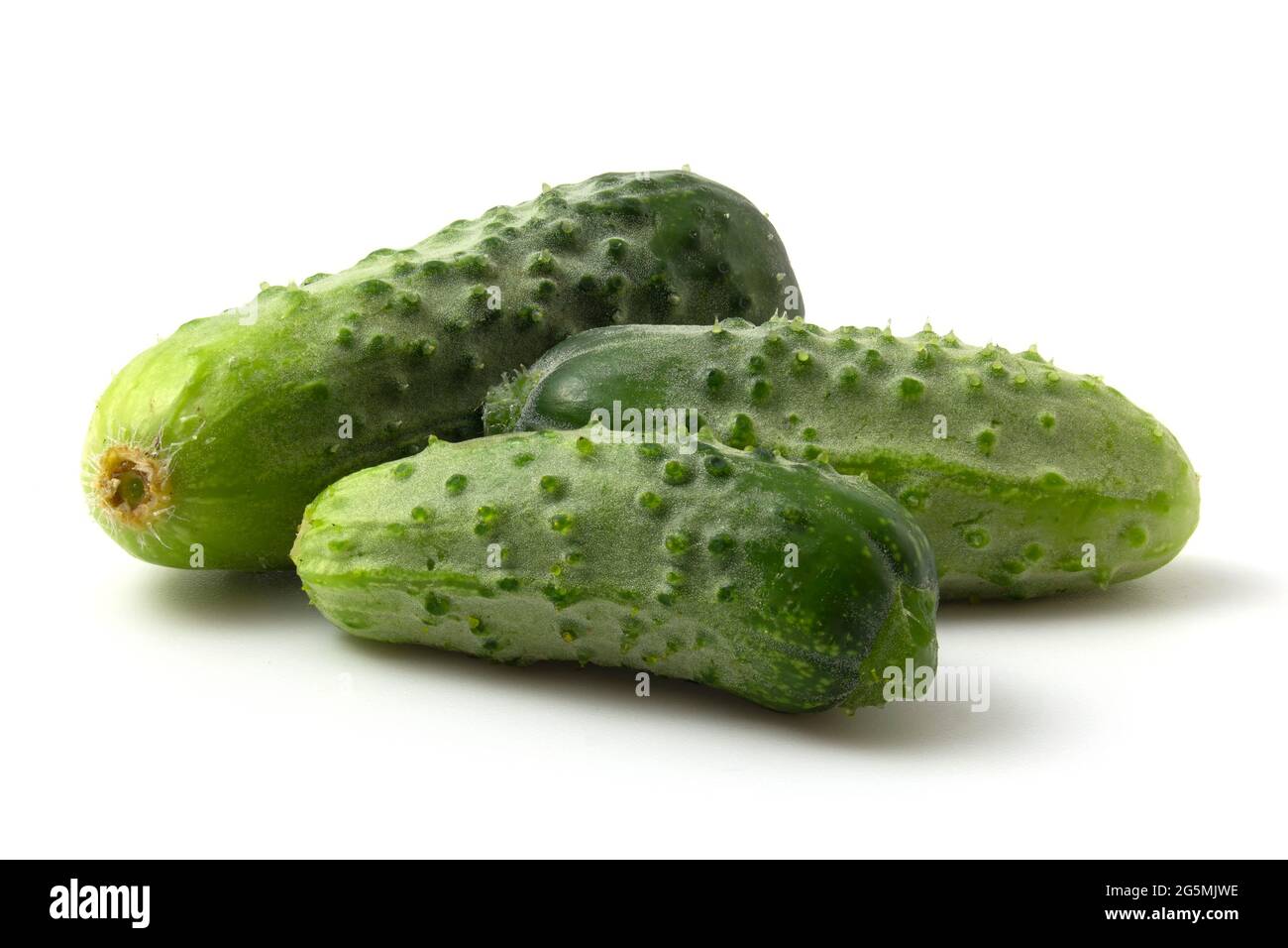 Three fresh cucumbers isolated on a white background. Green cucumbers Stock Photo