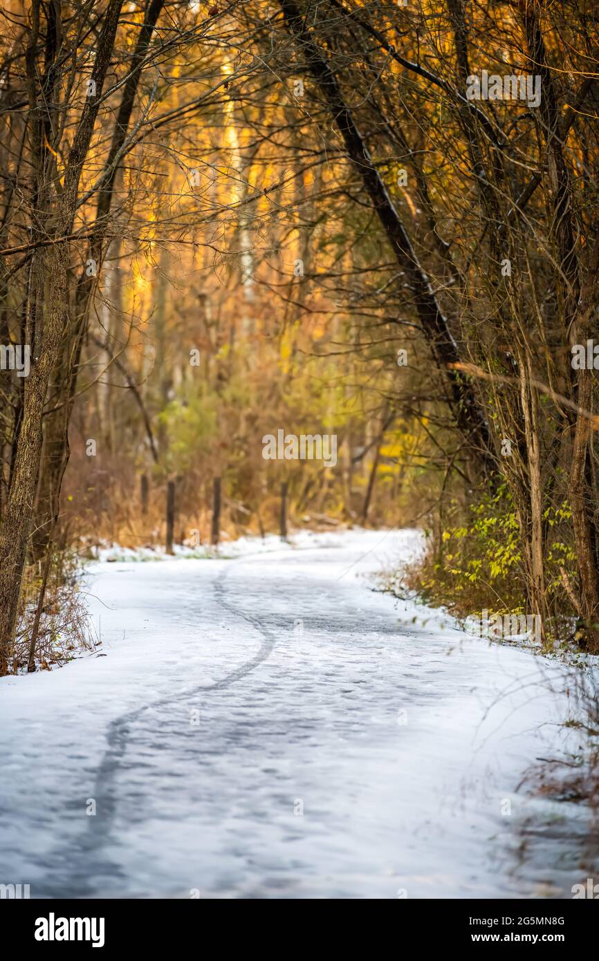 Fairfax County Sugarland Run Stream Valley Trail with vertical view of trail path through forest and winter trees in frozen snow winter weather road Stock Photo