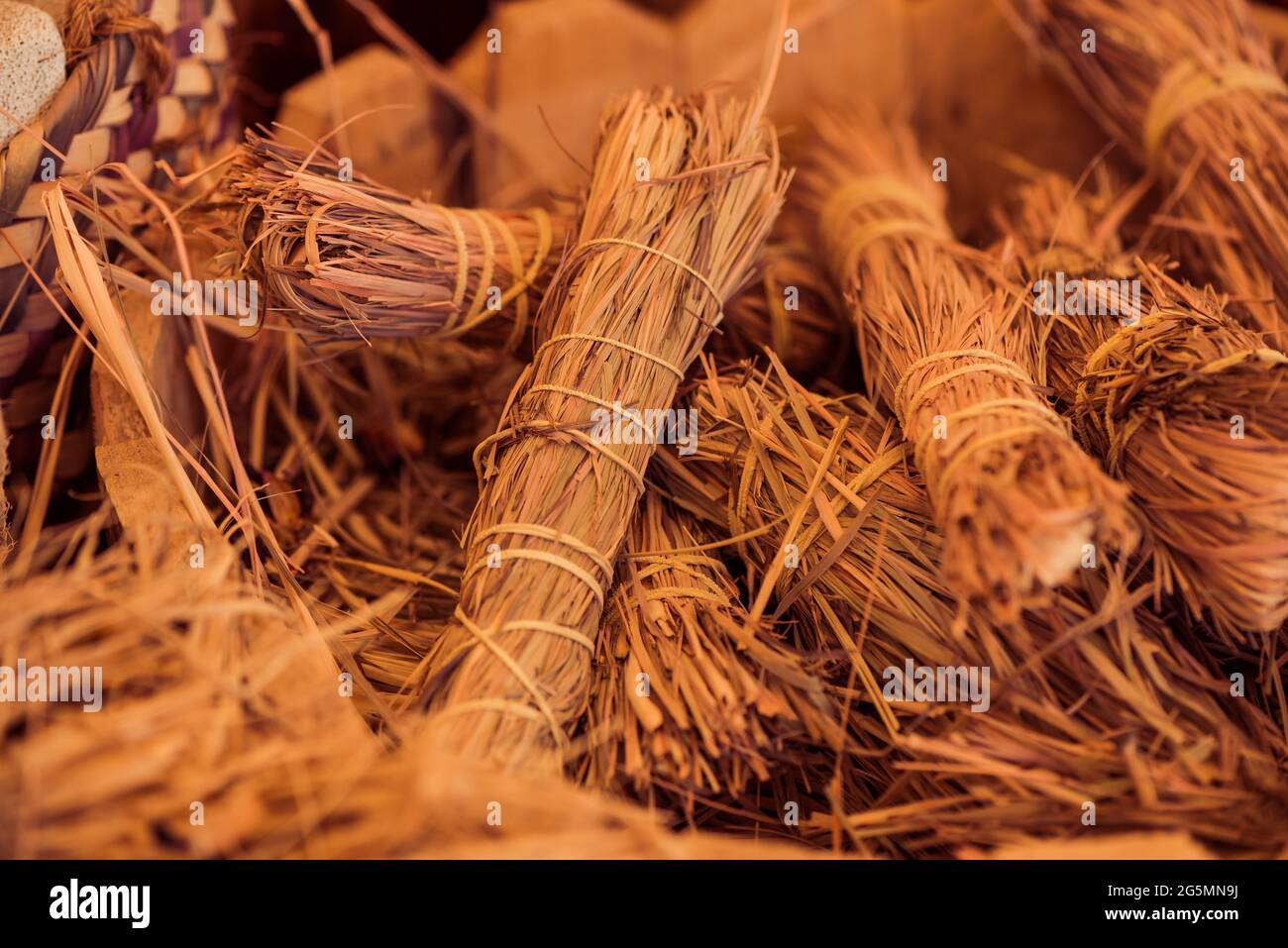 Lemongrass Plant High Resolution Stock Photography And Images Alamy