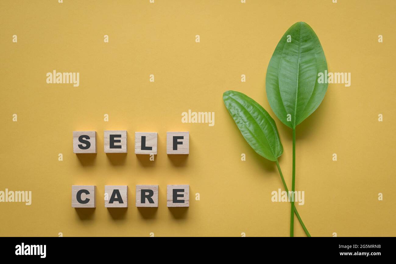 Self care word with green leaf on yellow background. Copy space. Stock Photo