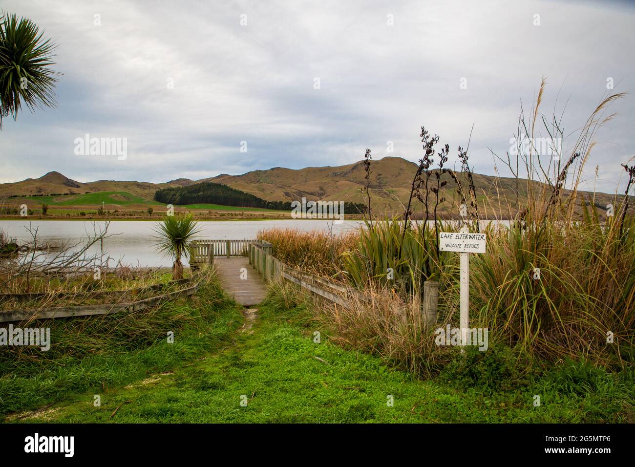 Lake Elterwater is a wildlife refuge just south of Blenheim in Marlborough, New Zealand Stock Photo