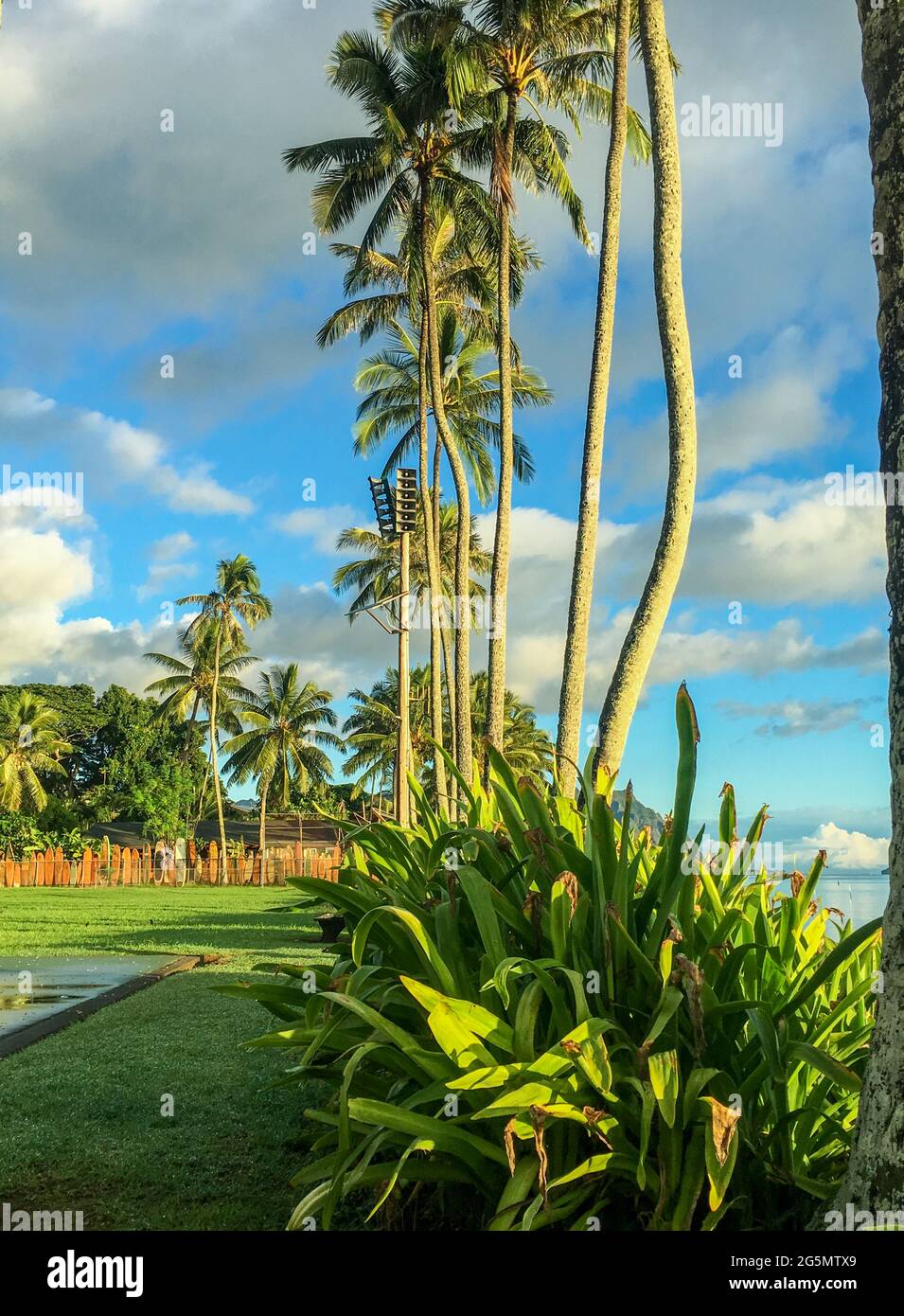 Diamond head volcano hi-res stock photography and images - Alamy